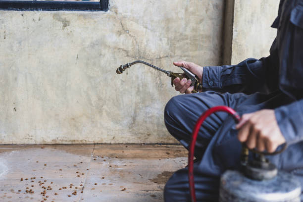 Reliable Rossville, IL Pest Control Solutions